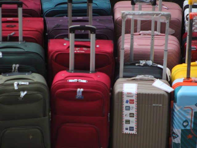 Bénéficier des vols intérieurs gratuits au Japon avec ANA